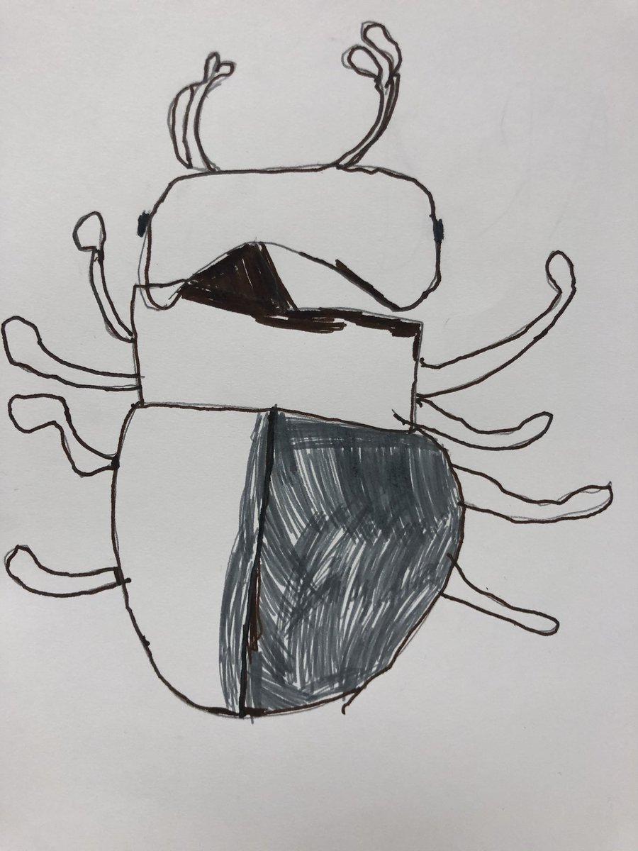 LockmanART's tweet photo. @PetroskyPirates kinders are studying shapes through a series of insect drawing, painting, and collaging. @aliefFineArts #AliefArtsMatter https://t.co/esBrlDPXZV