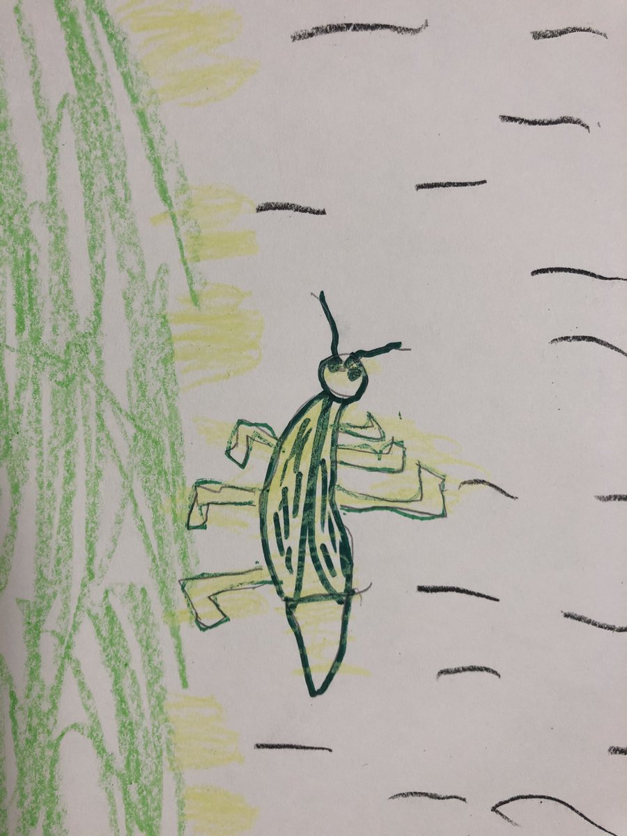 LockmanART's tweet photo. @PetroskyPirates kinders are studying shapes through a series of insect drawing, painting, and collaging. @aliefFineArts #AliefArtsMatter https://t.co/esBrlDPXZV