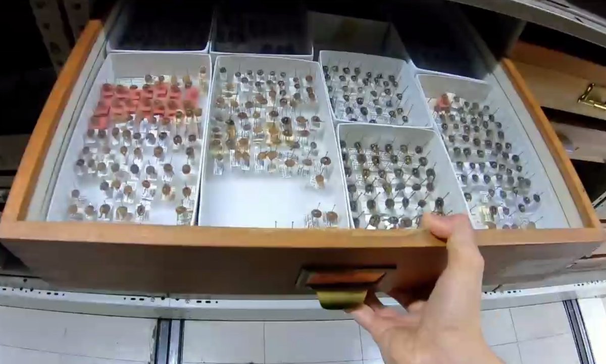 EntCollNet's tweet photo. #VirtualCollectionTour: Over to Mexico we go! 🇲🇽
Ivonne Garzón provides an insight into Mexico’s Nacional Insect Collection, at the University of Mexico, Mexico City. Great space and a strong team of curators! #ECN2020 https://t.co/tN6qGI7kgh