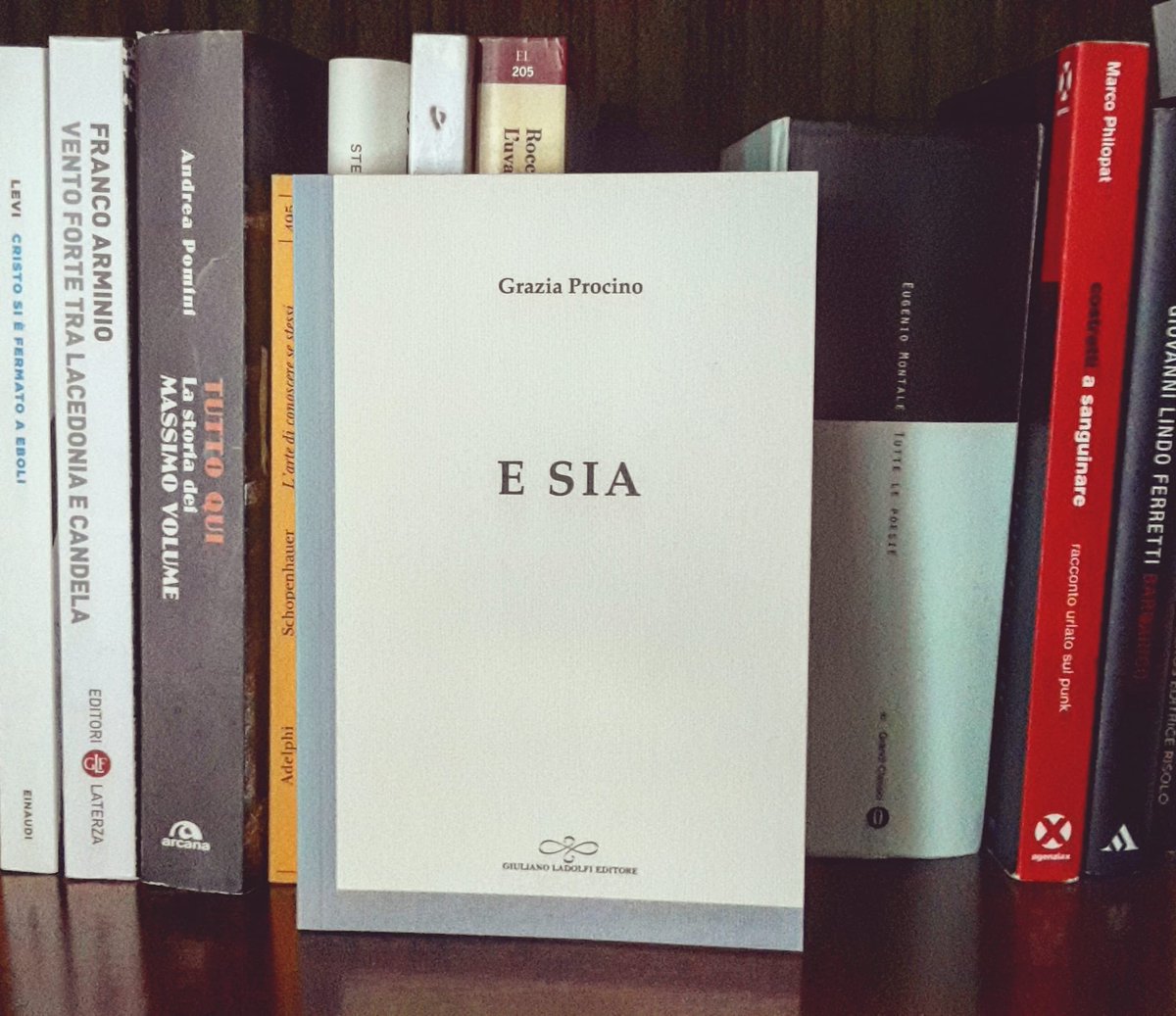 CFFmusica's tweet photo. Certi incontri sono folgoranti.
Le parole vibravano nei suoni e trovavano spazio naturale nella metrica del canto.
Non poteva risolversi tutto nel reading di febbraio.
Il nostro prossimo album raccoglierà alcune poesie tratte da "E sia" di #GraziaProcino.

#cffeilnomadevenerabile https://t.co/AkwxzD8E49