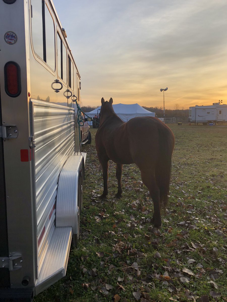 corgicrazytime's tweet photo. When you’re at the barrel race before the sun is up and headed home long after the sun has gone down, you know it’s been a good day! 14 hours of horsey time over the weekend makes me happy! #AQHA #ILoveMyHorse #gooutsideandplay #canchaser https://t.co/z0wDotYVAm