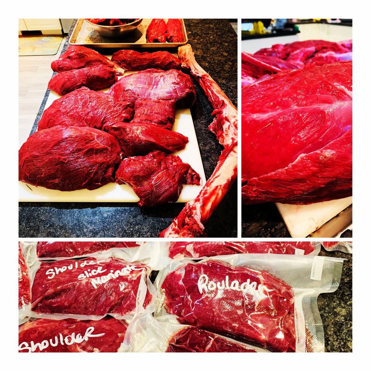 I feel like I’ve been living in a sea of meat for two solid days😳😳#shoulderpain #meatformonths #recipes #moosehunt