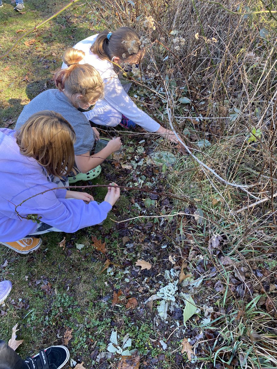 MrsDeFeoBRMS's tweet photo. Nature walk and creating art on this beautiful warm November day! @BRMSrocks @CarolineJRoque @Dr_Borden @tmcneiece1 https://t.co/Dql5lzWT0S