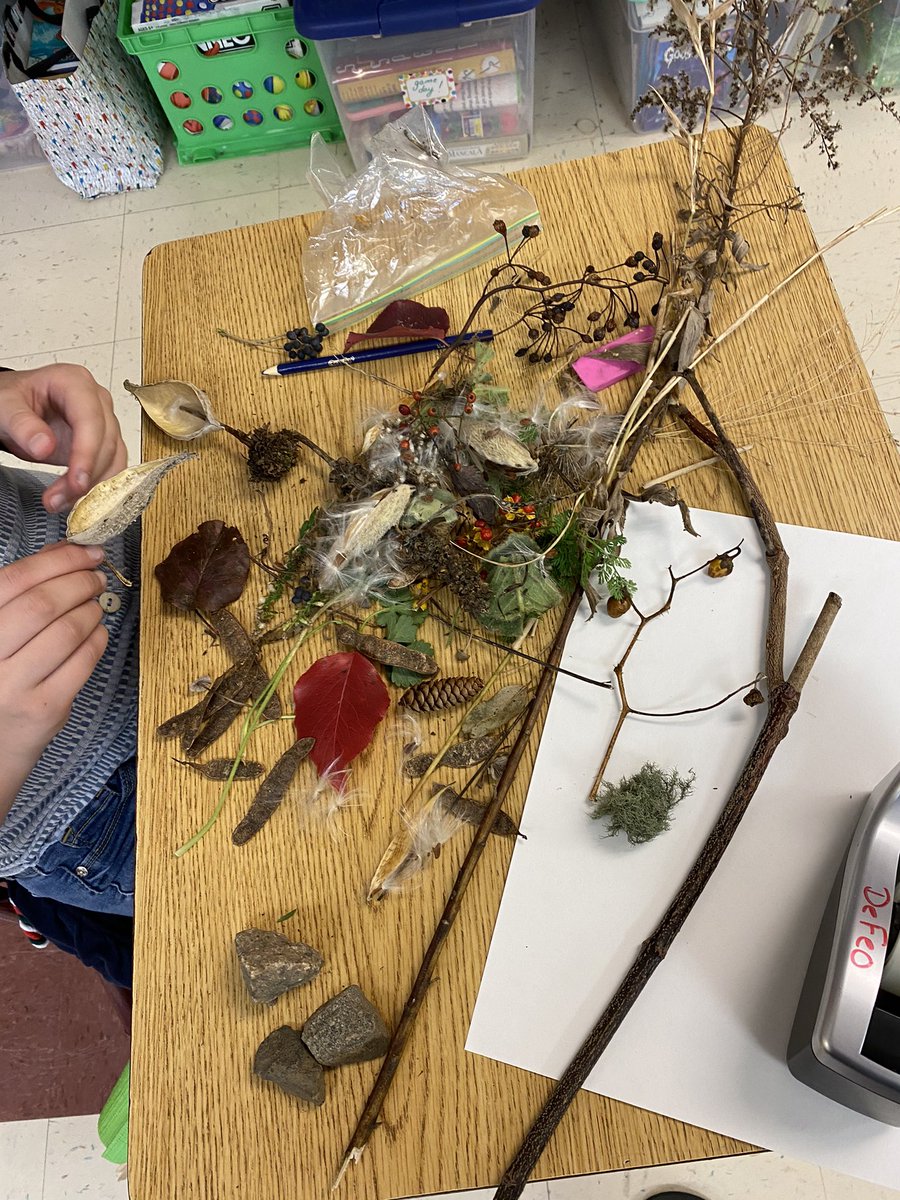 MrsDeFeoBRMS's tweet photo. Nature walk and creating art on this beautiful warm November day! @BRMSrocks @CarolineJRoque @Dr_Borden @tmcneiece1 https://t.co/Dql5lzWT0S