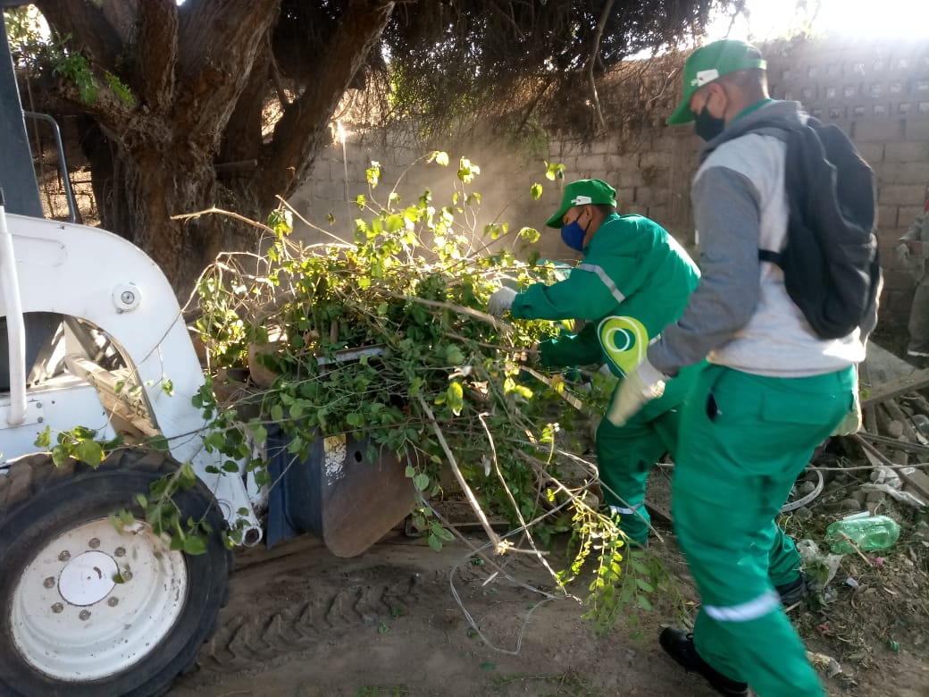 GobDeLaRioja's tweet photo. El equipo del programa Manzanas Saludables sigue trabajando para erradicar los criaderos de mosquitos. 

🙌🏻 Hoy estuvieron en el barrio Joaquín V. González https://t.co/Si4ufvlVux