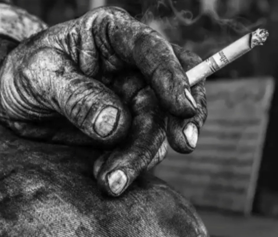 رفیق فابِ مارادونا tweet media