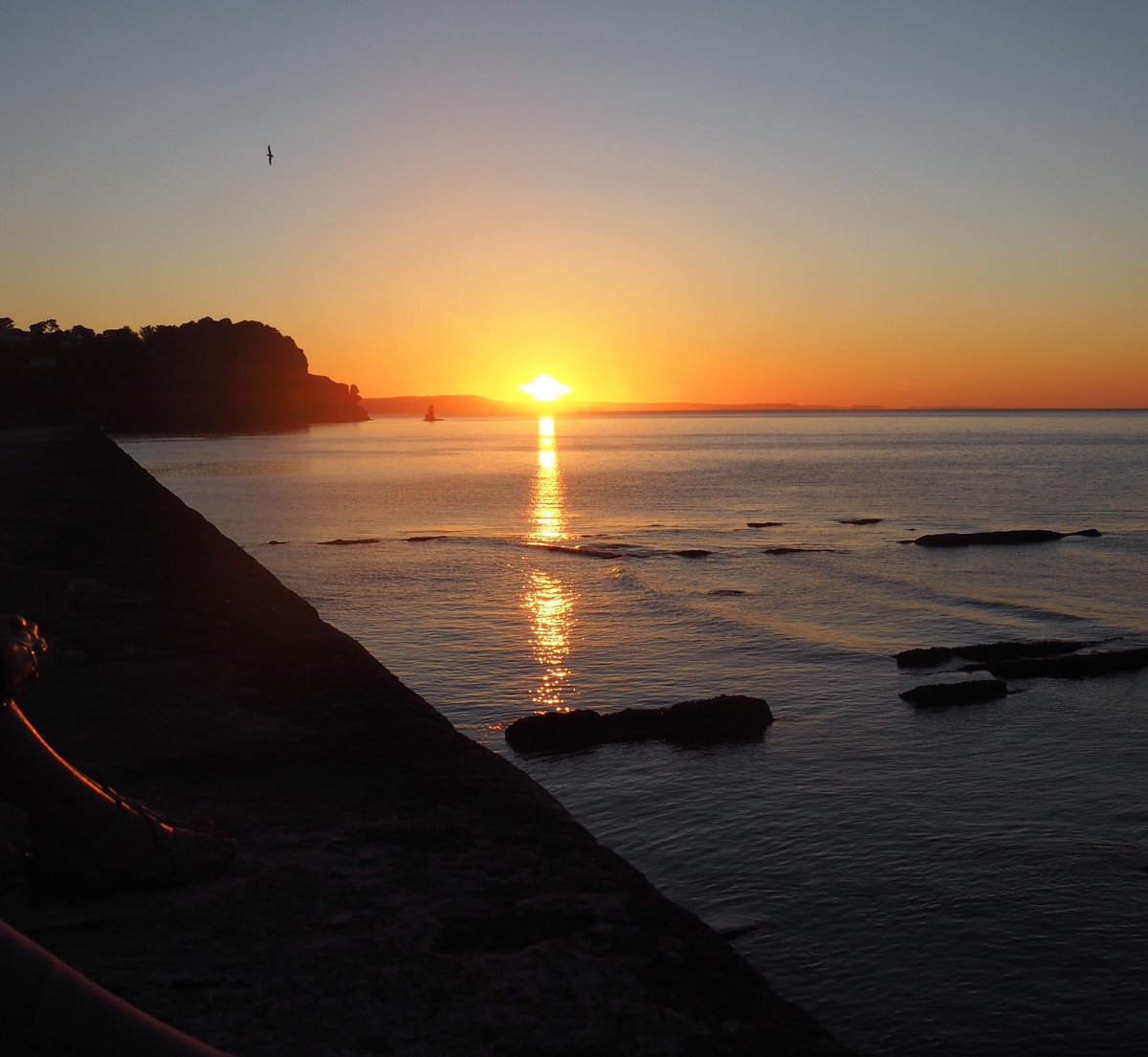 HouseBrunswick's tweet photo. @visitsouthdevon Teignmouth is pretty spectacular for sunrises too. This pic was taken from the Teignmouth letters sign on the sea wall. https://t.co/AjMb7OJaON