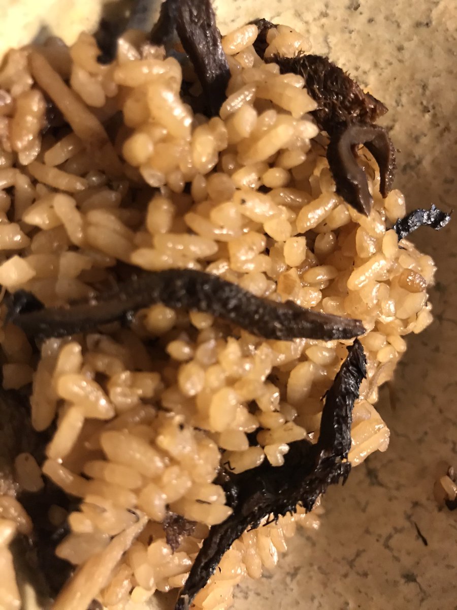 Hiroko 香茸 イノハナの香り 2年前の秋 飯舘村文化祭で恵んでいただいたものの最後 今日のお昼はおむすびに うっま 冷凍はあと一回分 次は餅米で 美味福島 美味飯舘村 香茸 いのはな