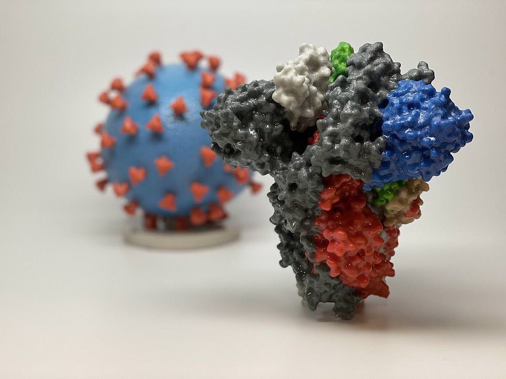 c) -> Le principe : injecter dans nos noyaux cellulaires (le lieu où repose notre ADN) le matériel génétique qui code pour la protéine spike (au 1er plan ) une protéine du virus du SARS-CoV-2 qui lui permet de s’introduire facilement dans nos cellules pour s’y reproduire.