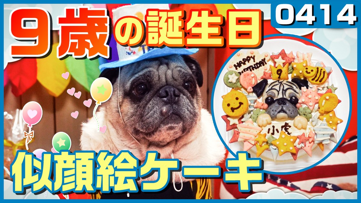 アラカン夫婦とパグの生活 旧パグログ パグ犬小虎 9歳の誕生日 可愛すぎる似顔絵ケーキ T Co Acnv9at060