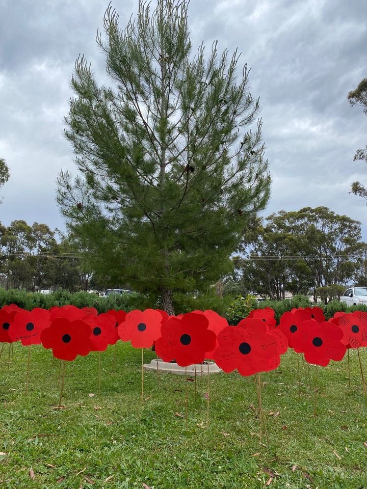 CMCBendigo's tweet photo. Remembrance Day was observed with a liturgy and 1-minute silence. At Coolock, classes had a giant poppy which students signed. Each class rep took the poppy to the Peace Garden and placed it in the ground.
#LestWeForget #remembranceday2020 #cmcBendigo #cmcCommunity https://t.co/Ky3tHk1hUW