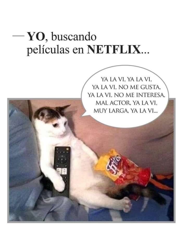 albertgrump's tweet photo. Si soy... https://t.co/HPtjs31bhj