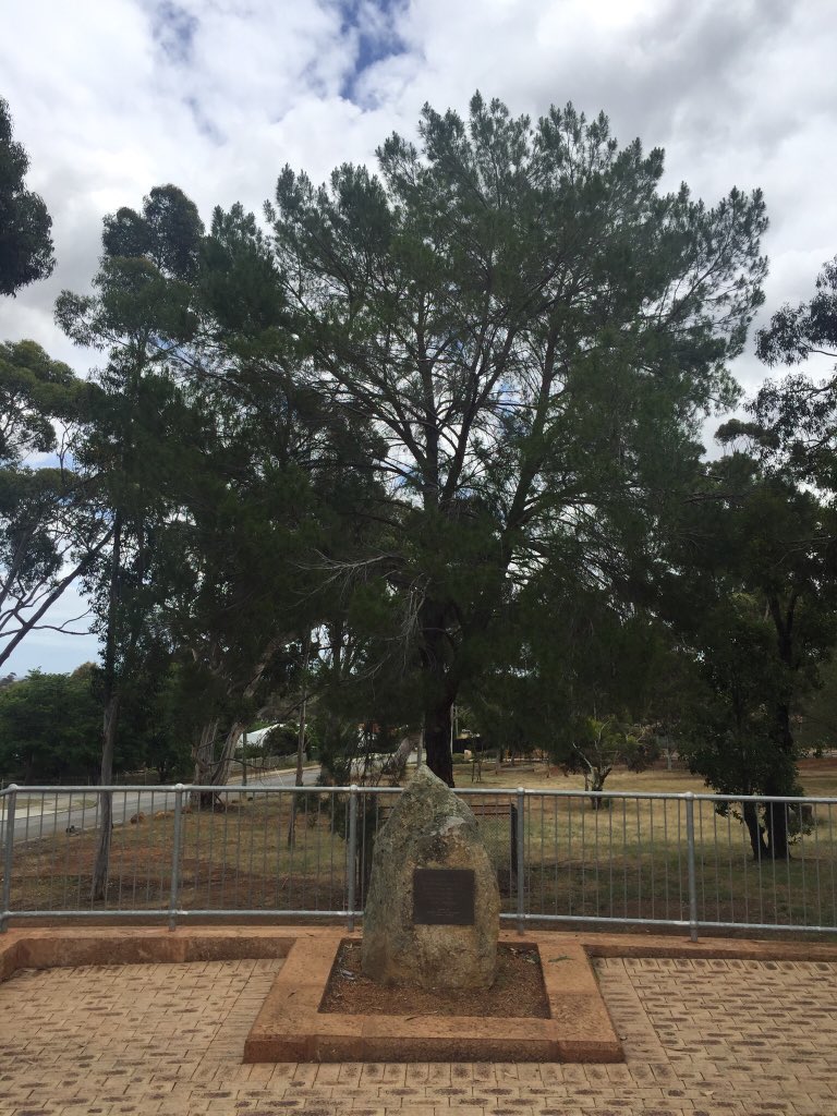 JohnDay_2's tweet photo. #RemembranceDay at Blackboy Hill, Greenmount, WA, site of training camp for WWI troops. #WeRememberThem @AWMemorial https://t.co/51XWF5nzpb
