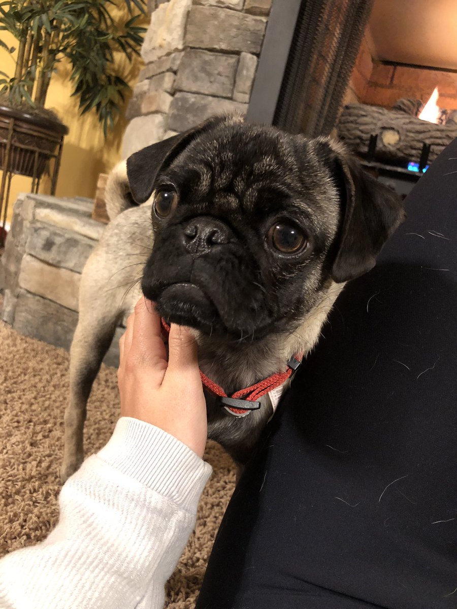 Rest easy my doodle butt, I love you forever.