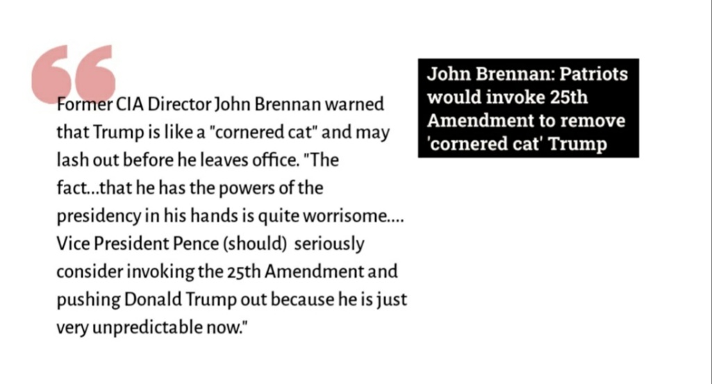 ⓲ All this, and I haven't even gotten into concerns about Trump's apparent emotional issues. JUST TODAY:John Brennan: Patriots would invoke 25th Amendment to remove 'cornered cat' Trump⭛⭛⭛ https://www.washingtonexaminer.com/news/john-brennan-patriots-would-invoke-25th-amendment-to-remove-cornered-cat-trump?_amp=true