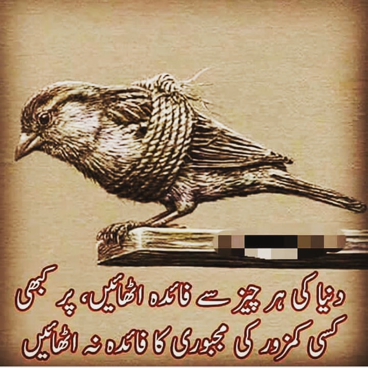 ItsSaniyaAli's tweet photo. 😔 https://t.co/ipfddhnYuF