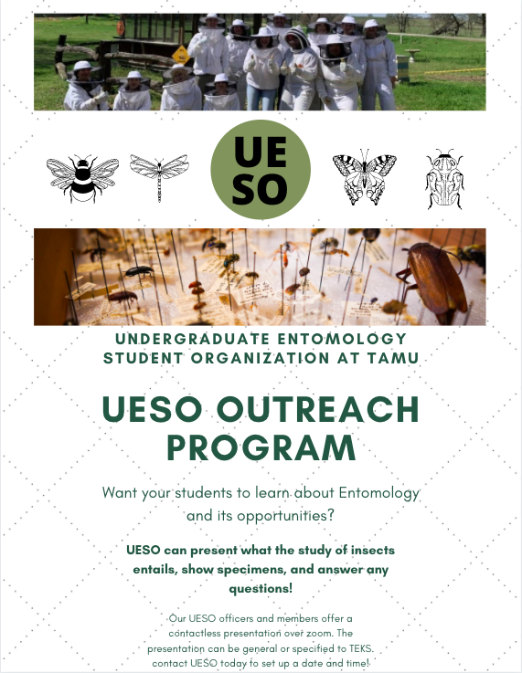 Aggie_UESO's tweet photo. Want your students to learn more about Entomology? Contact UESO at aggie.ueso@gmail.com to set up a date and time for a virtual presentation! We present to elementary school to high school-aged students. #Entomology #TAMU #UESO #Students #school #presentation #outreach https://t.co/Lv4tCdscVe