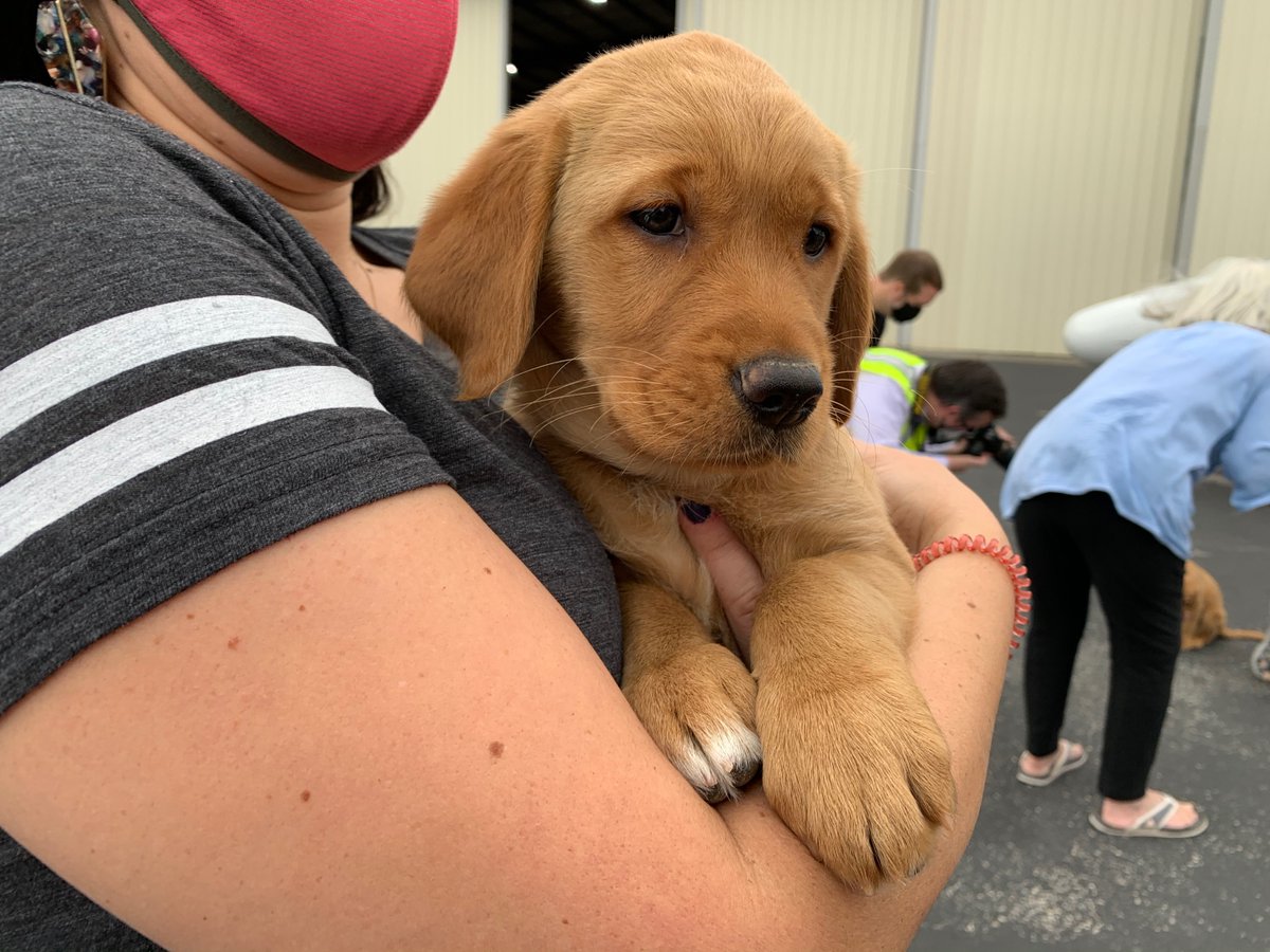 bswhealth_ATX's tweet photo. Reporting for duty! The newest @ccicanine assistance dogs have arrived in #ATX to meet their new trainers. https://t.co/i88CW7Hfb6