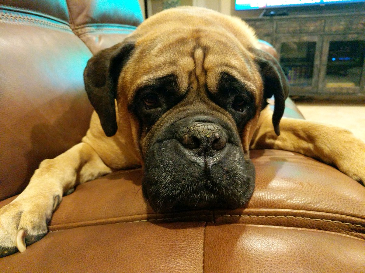 KyBourbonLover's tweet photo. @dianesteeler I agree! #drooliscool https://t.co/ExKAo7P8sY