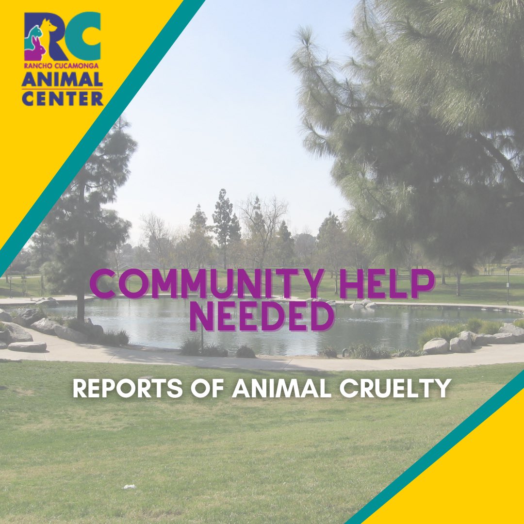 Four ducks were found deceased at Red Hill Park, all shot with a pellet gun. If you have any information about these incidents call RC Animal Center at (909) 466-7387 option 1, Field.Services@CityofRC.us, or the Rancho Cucamonga Police Department at (909) 941-1488.