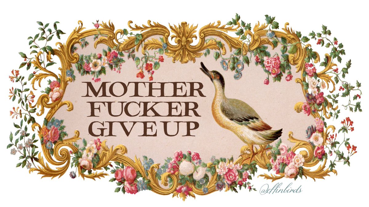 Effin' Birds (@effinbirds) on Twitter photo 