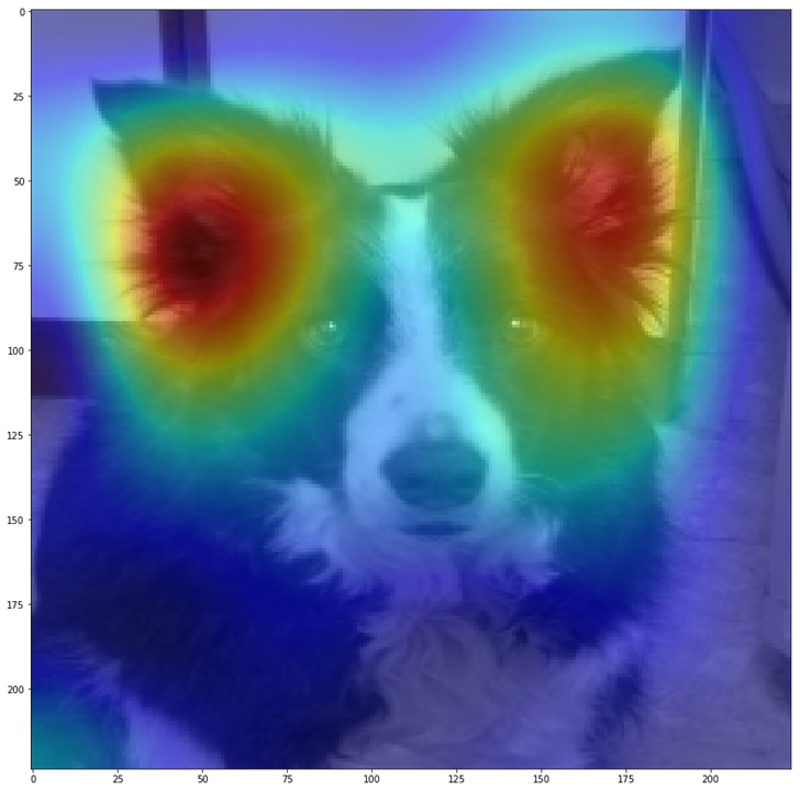 eyaler's tweet image. Computer shows why! my hands-on deep-learning visualization tutorial this Thursday @ #PyDataGlobal2020
global.pydata.org/talks/226