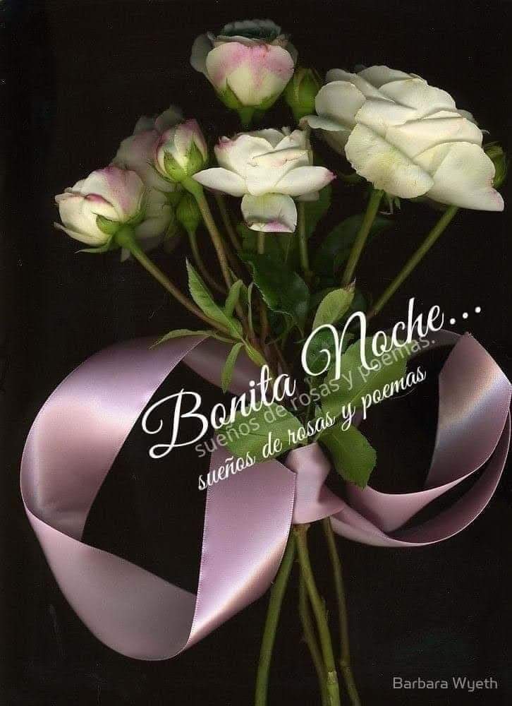 Buenas noches 😴🛌💤