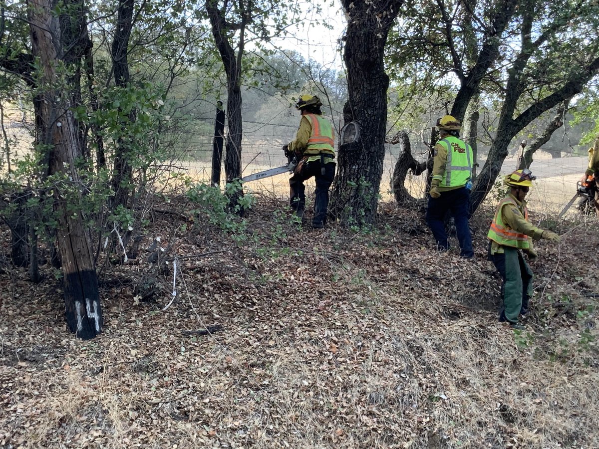 CALFIRELNU's tweet photo. #FirefighterHandcrews - CAL FIRE Sonoma-Lake-Napa Firefighter Handcrews remain busy between fires by helping with fuel reduction projects and reducing the potential spread of roadside fires. This week LNU Crew 1 has been working in the Gordon Valley Area reducing ladder fuels. https://t.co/udlM4T0HQw
