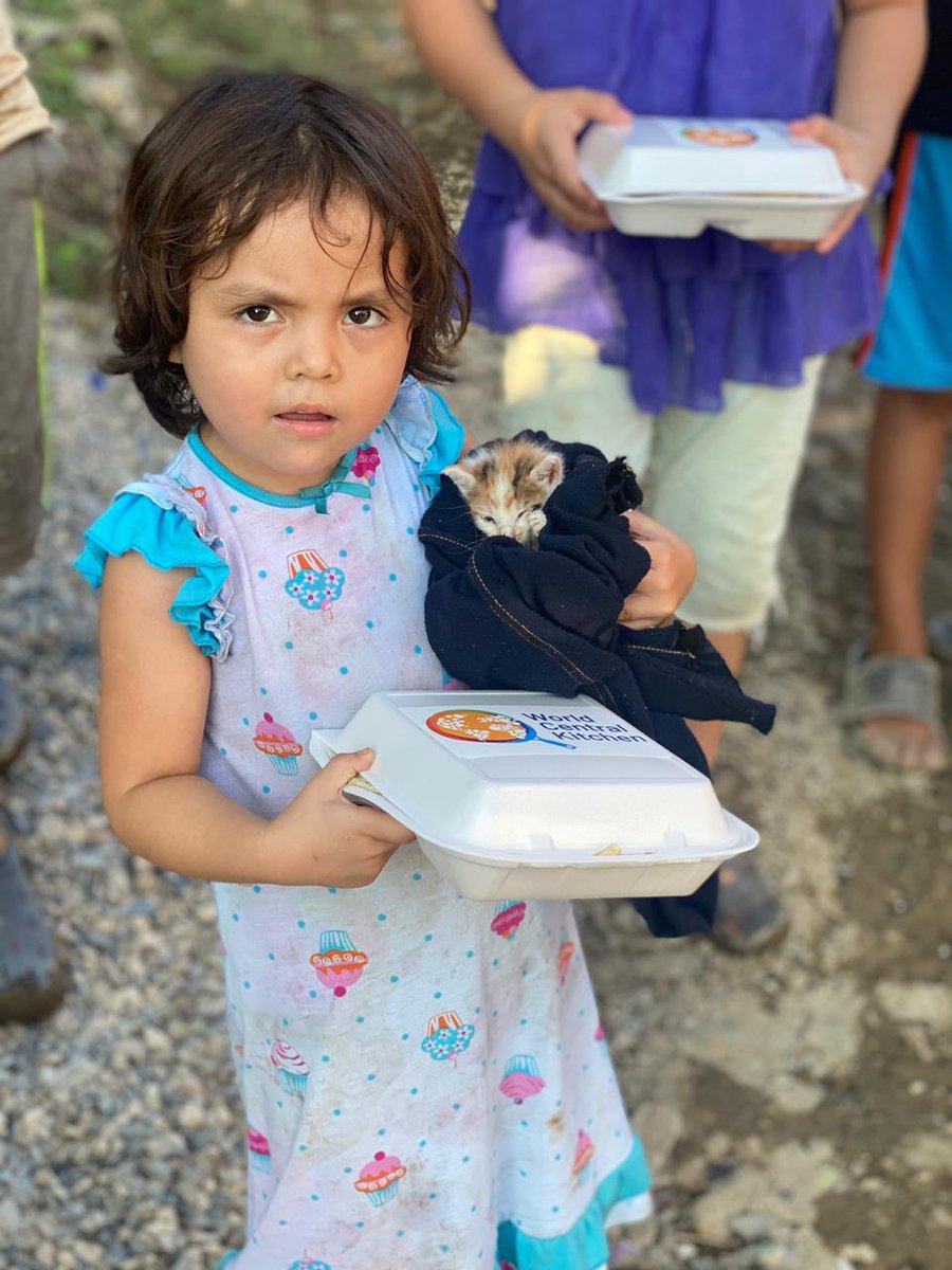 WCKitchen's tweet photo. In Guatemala today, we met this these kids when delivering meals in Barrio La Bomba, Izabal. While cleaning up their houses after Hurricane #Eta, they found a baby kitten in the mud, rescued her and bathed her! 🐱 #ChefsForGuatemala https://t.co/uAJUEszE5m