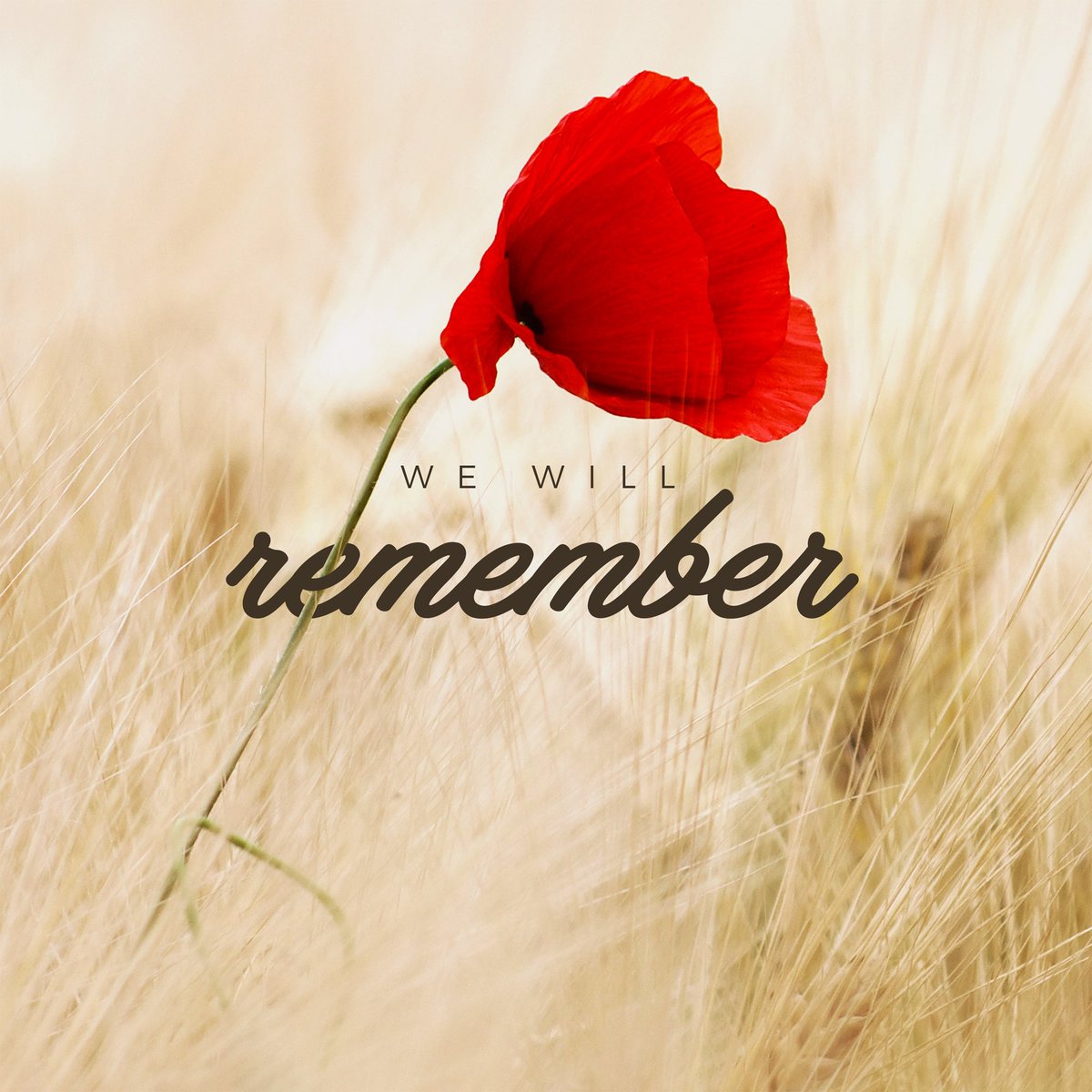 HorhamBaptist's tweet photo. They shall grow not old, as we that are left grow old: 
Age shall not weary them, nor the years condemn.
At the going down of the sun and in the morning
We will remember them... we will remember them. https://t.co/GzCmetk5Q6