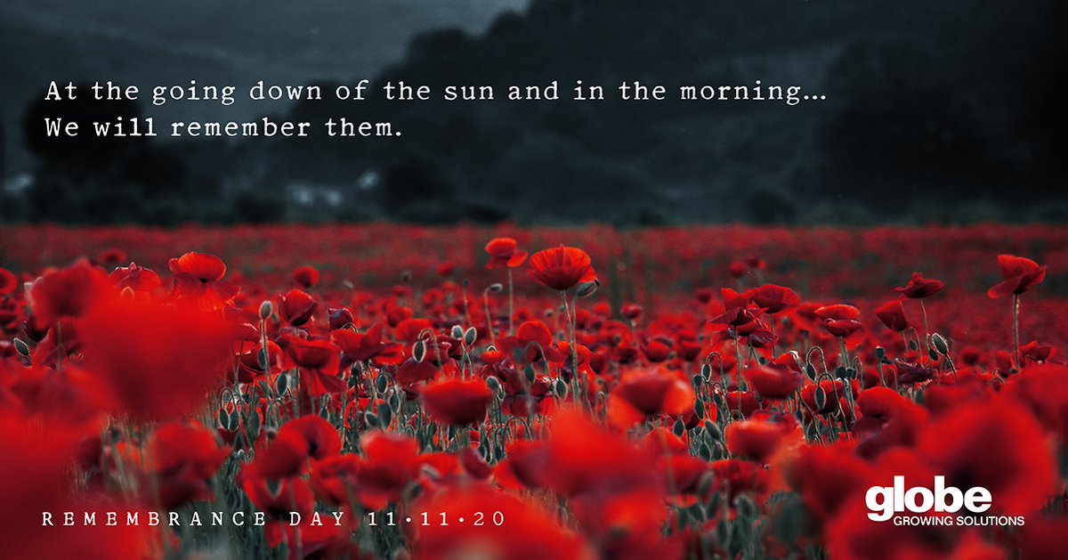 GlobeTurf tweet media