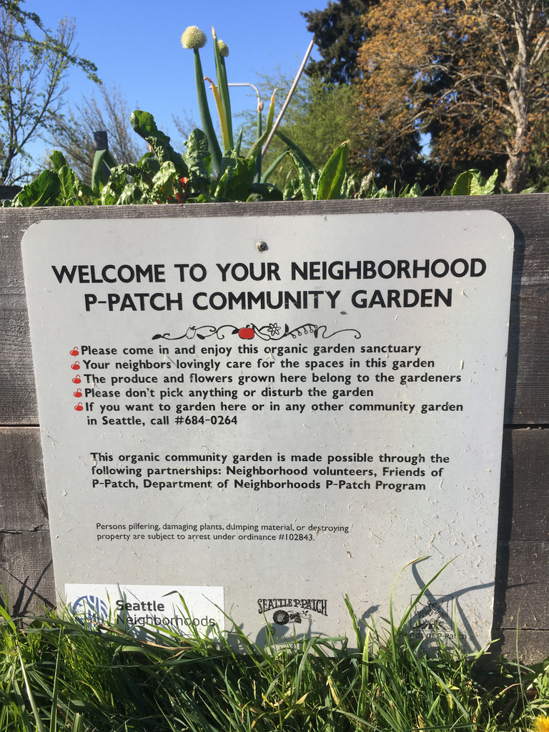 We’re counting down to #GivingTuesday, 3 weeks away! At GROW, we have the big task of supporting Seattle’s 89 P-Patch Community Gardens through advocacy, funding and education. Remember us on December 1st.   #StrongerTogether