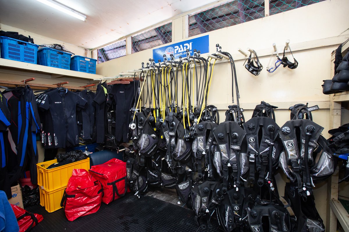 Borneo_Divers's tweet photo. No matter you are a diver or a snorkeler, we have you covered! Everything you need can be found in our dive equipment rental store.
#borneodivers #borneodiversmabulisland #divecentre #resort #island #mabulisland #rentalshop #diveequipment #equipment #gear https://t.co/bjYnemsJCC