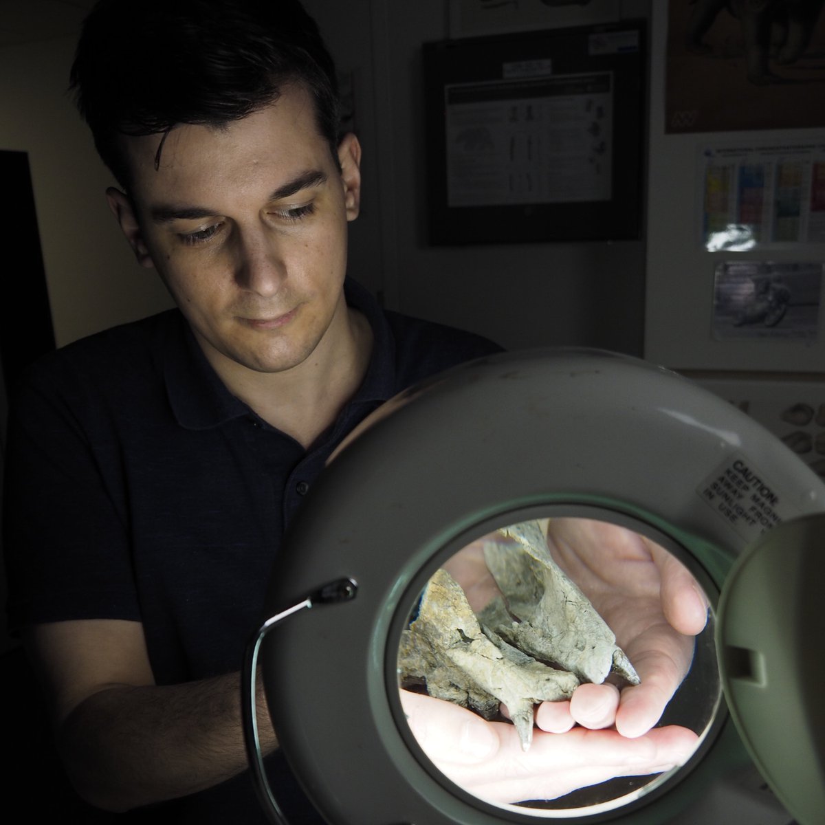 This research was the main project of my PhD. For three years I investigated what seals were living in New Zealand in the past. 2/7