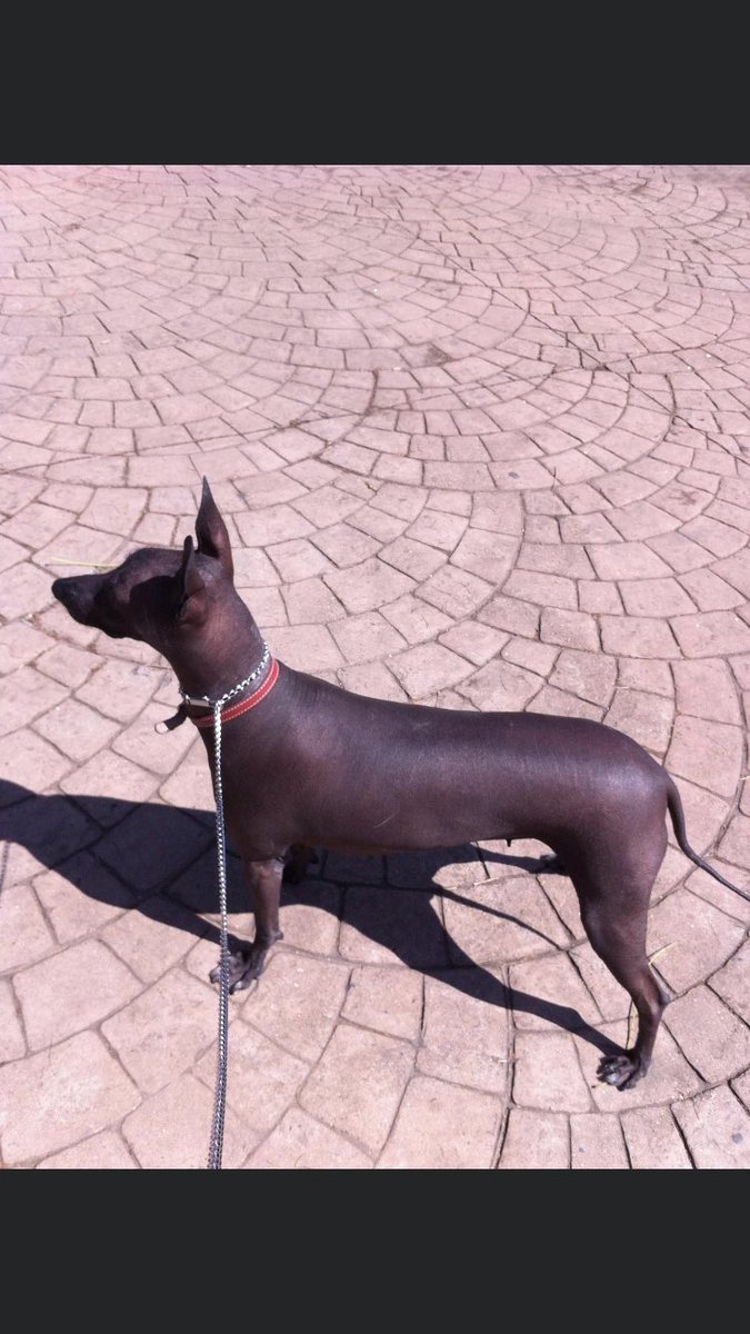 Amparo a los ocho meses Y sigue hermosa