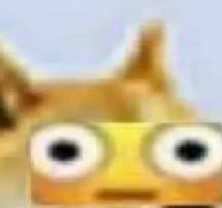 Erickzin 🦋 tweet media