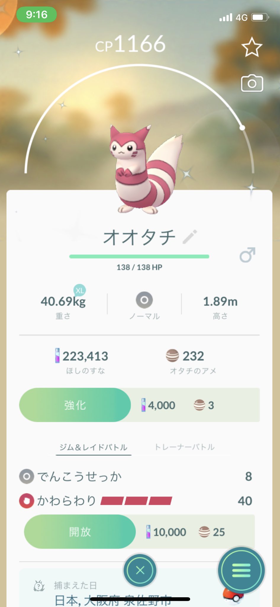 リヒト ポケモンgoフレ募集中 Rihito030 Twitter