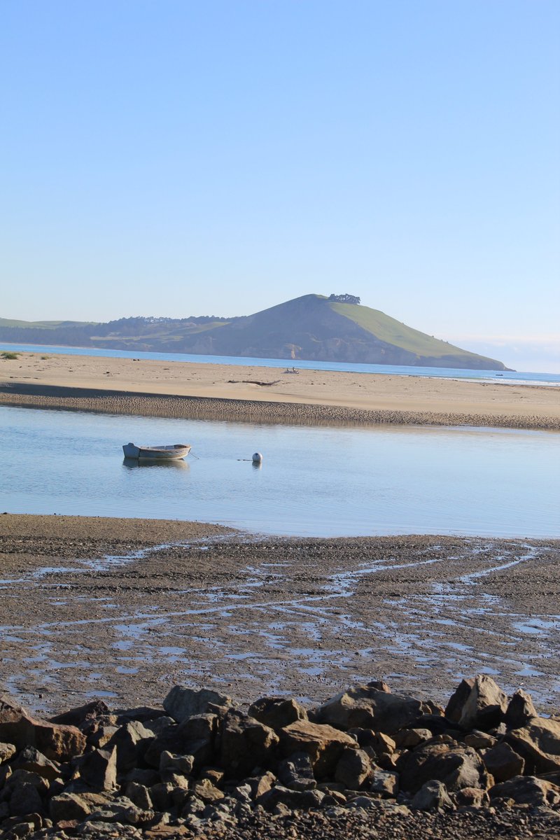 allanrob9's tweet photo. #Karitane Inlet & rowing boat with #Matanaka in the distance. #NZ https://t.co/zNd5sZOYbK