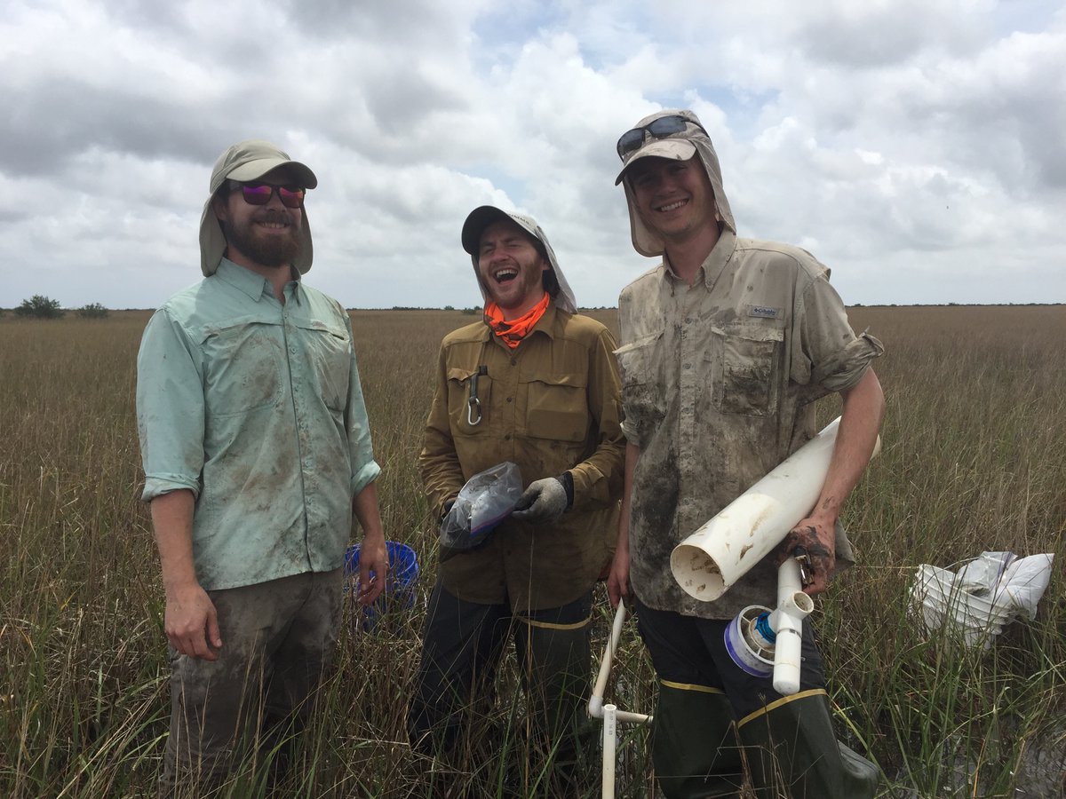To test this idea, we first set up disturbance-recovery experiments along flooding gradients in the field mimicking a top-kill (like wrack deposition). We tracked recovery and recovery rates of several plant metrics (with much help!).