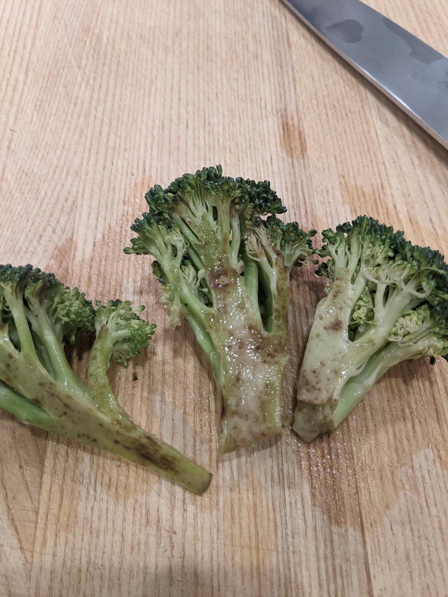 NikNorton's tweet photo. .@realhomechef is this normal? Just opened these from our meal kit that was delivered just yesterday. Looks like these are cut ages ago. https://t.co/qDdzAzI4Q6