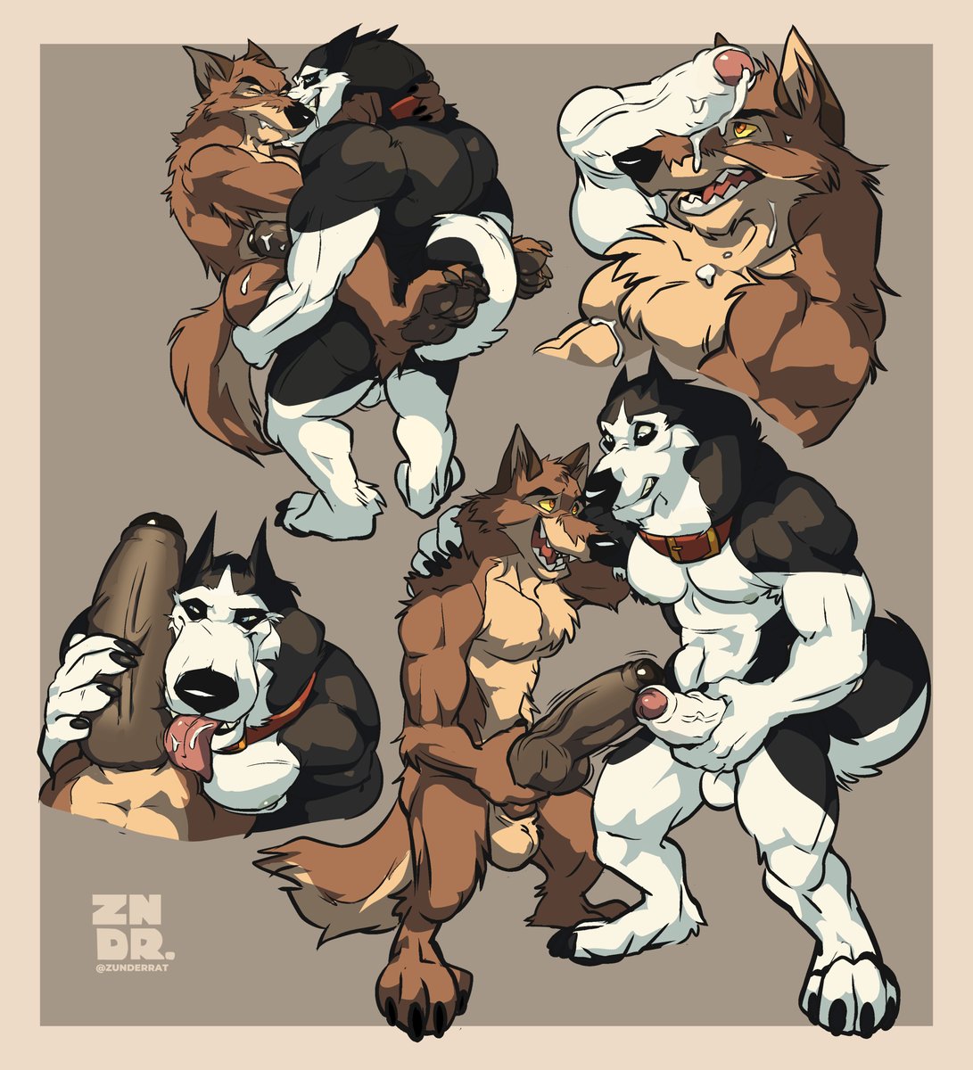 ZUNDERRAT's tweet photo. "Part wolf huh?" https://t.co/g6eVVxXwmt