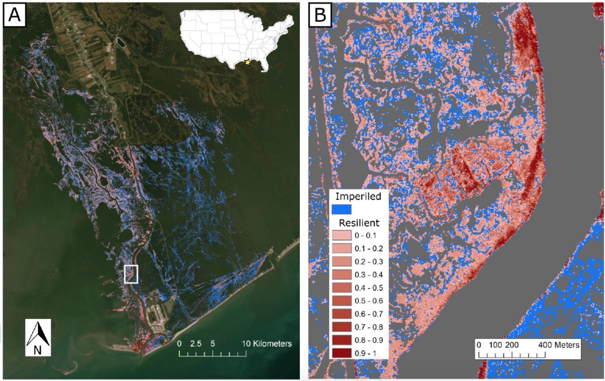 Because of this tight relationship, we then applied our resilience metrics to spatial data to map where alternative states may exist on the landscape! ~50% of the area was vulnerable to state change after a single disturbance, especially interior pond edges