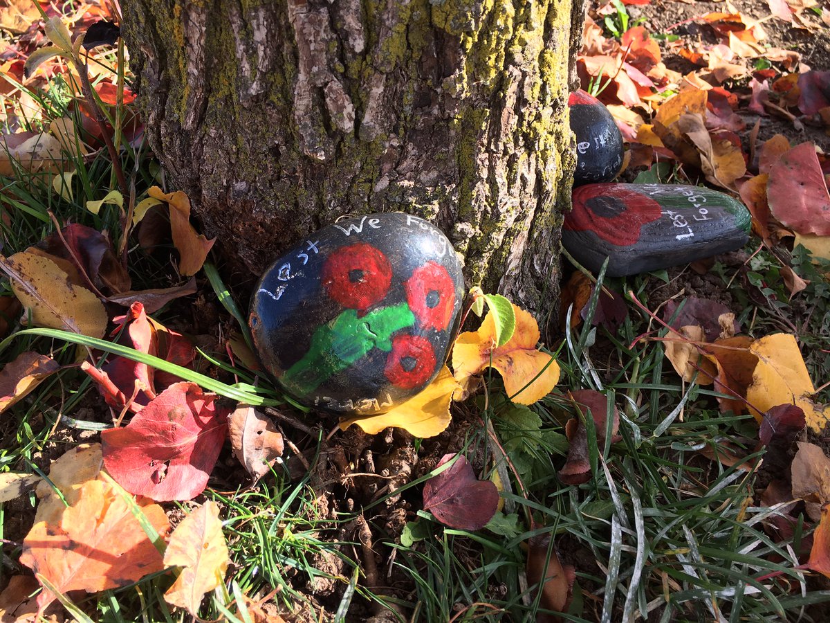 So proud of <a href="/CoulsonPS/">Irma Coulson PS</a>  students today. Big thank you to Col. Bob Elliott for meeting us at a local park so that we may lay our Rocks for Peace and teaching us about what it truly means to REMEMBER. #LestWeForget