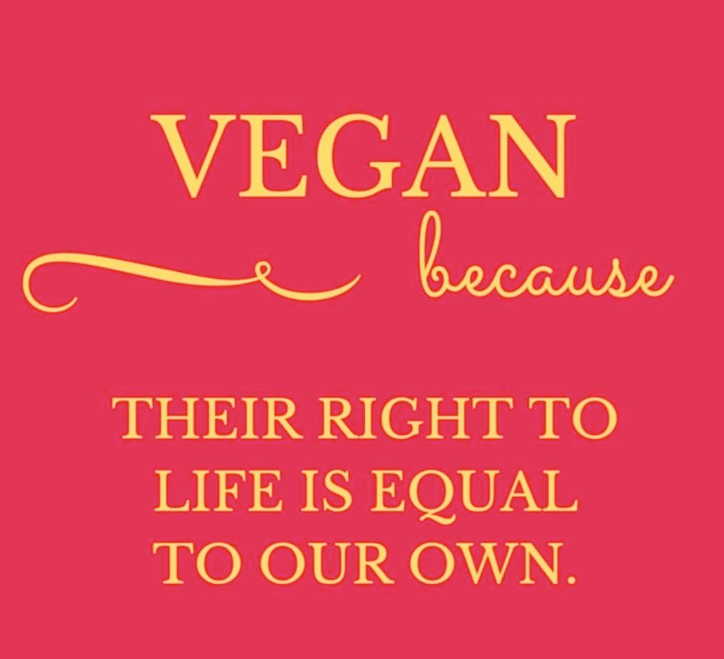 LPaganthevegan's tweet photo. #Animalslover #veganism https://t.co/56V95JdDYI