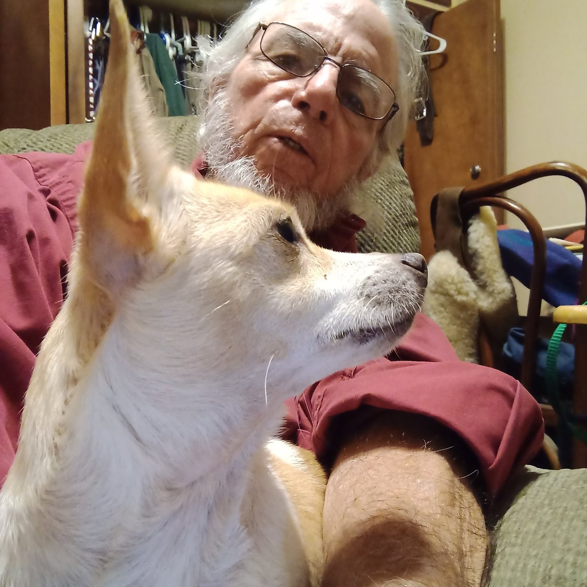 5. Anyway, turns those gases into sugar. You can take carbon and hydrogen, add energy to hook the molecules together, the combination molecules are sugars and the energy is bound up in the linkage.Somebody eats that plant, maybe me. And then that atmospheric gas becomes...Me.