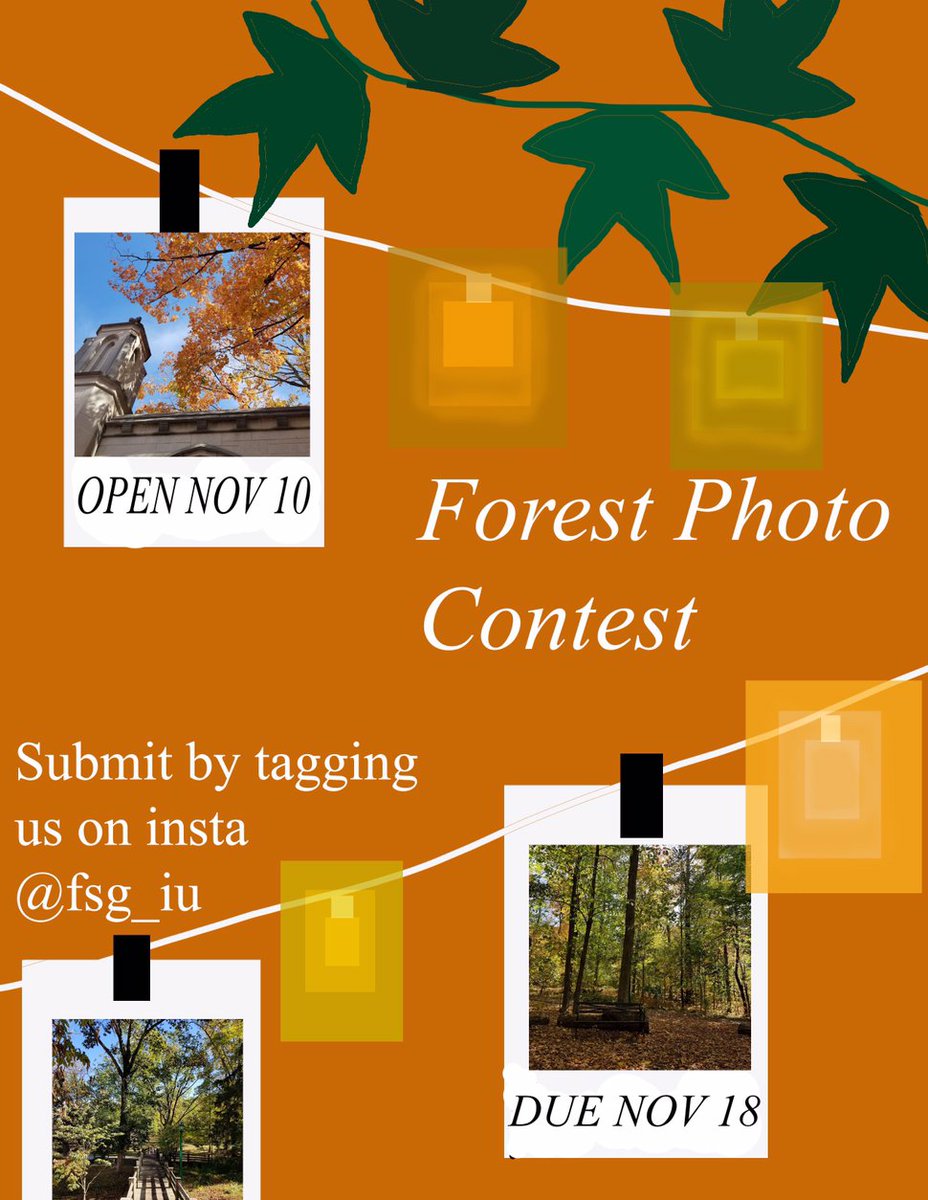 Like Photography? Send your fall photos to the fsg_iu instagram!