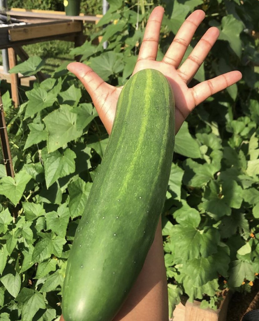 Black-Owned Businesses in Texas tweet media