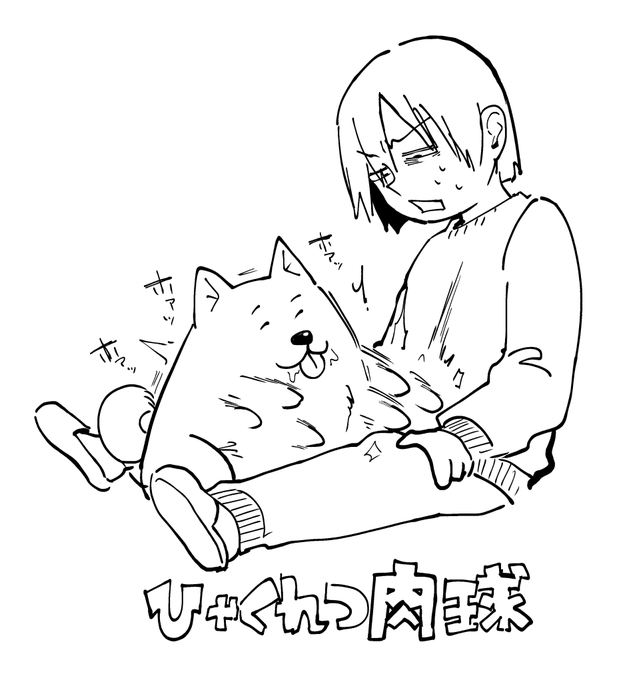 犬が執拗に腹をどついてくる日記です 