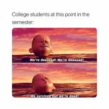 JessicaW1710's tweet photo. This meme could not be any more accurate...just waiting for Thanksgiving break #fsu2040 https://t.co/x3gx7aMTuI