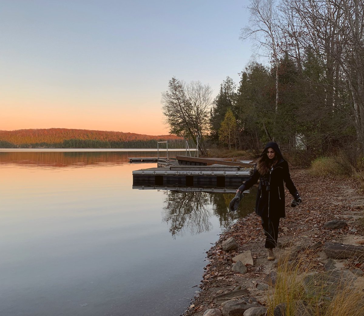 If applied conservation work is like the foreground of a photograph, the study of evolution is the sunset in the background, colouring everything else in the photo. It’s the essential ground-work informing all biodiversity-related decisions being made today.